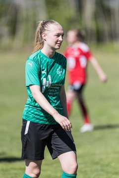 Bild 451 - F SG NieBar - IF Stjernen Flensborg : Ergebnis: 2:0